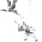 Yang Style Tai Chi 
