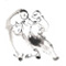 tai chi form