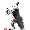 Yang Style Tai Chi 