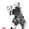 Tai Chi form