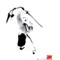 Tai Chi Sword