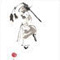tai chi sword
