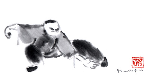 Tai Chi Exercise - Squatting Single Whip 