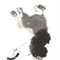 tai chi form