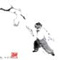 Tai chi form