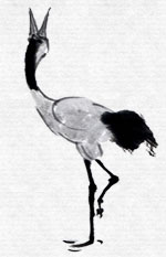 tai chi movement-crane